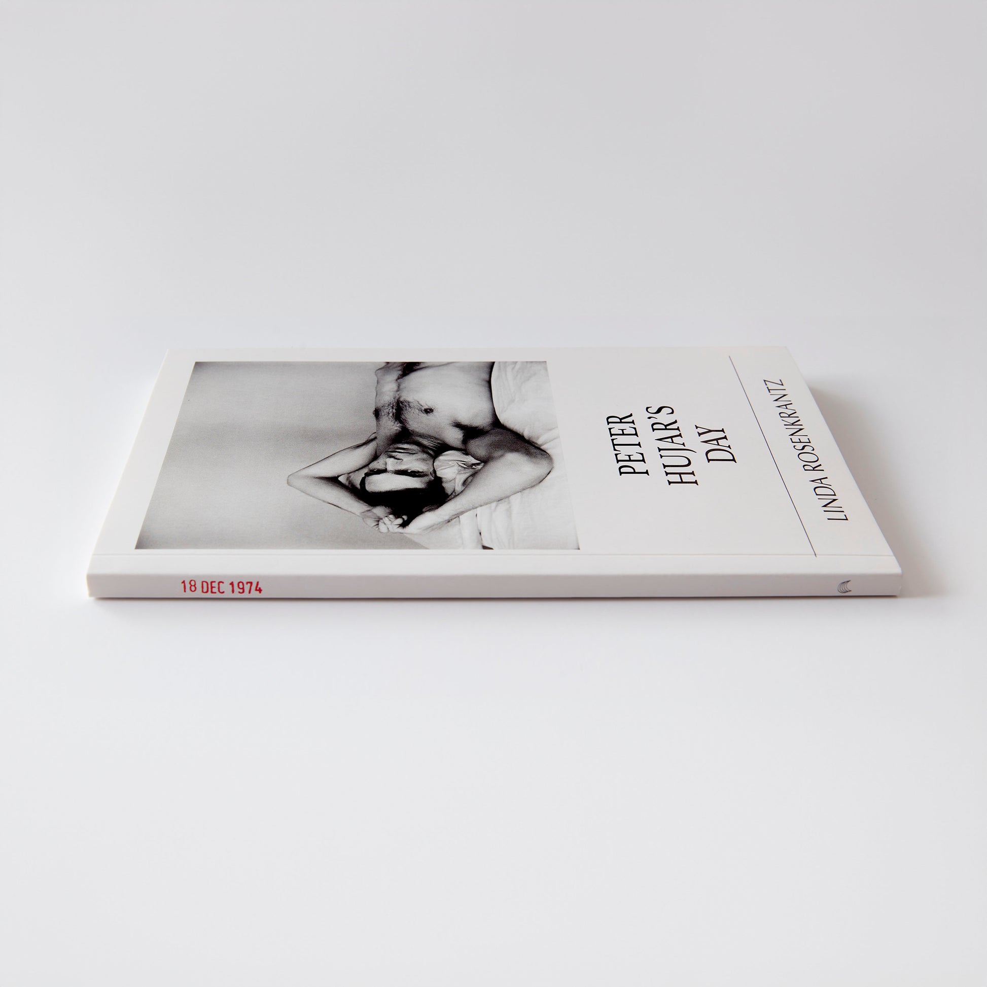 Peter Hujar's Day
