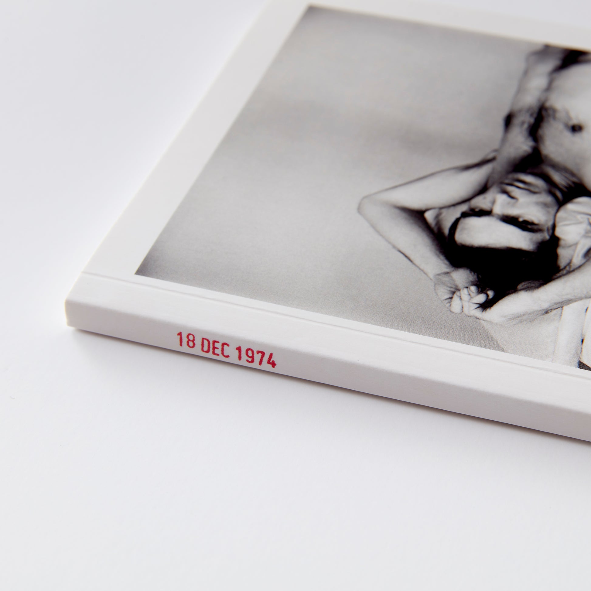 Peter Hujar's Day