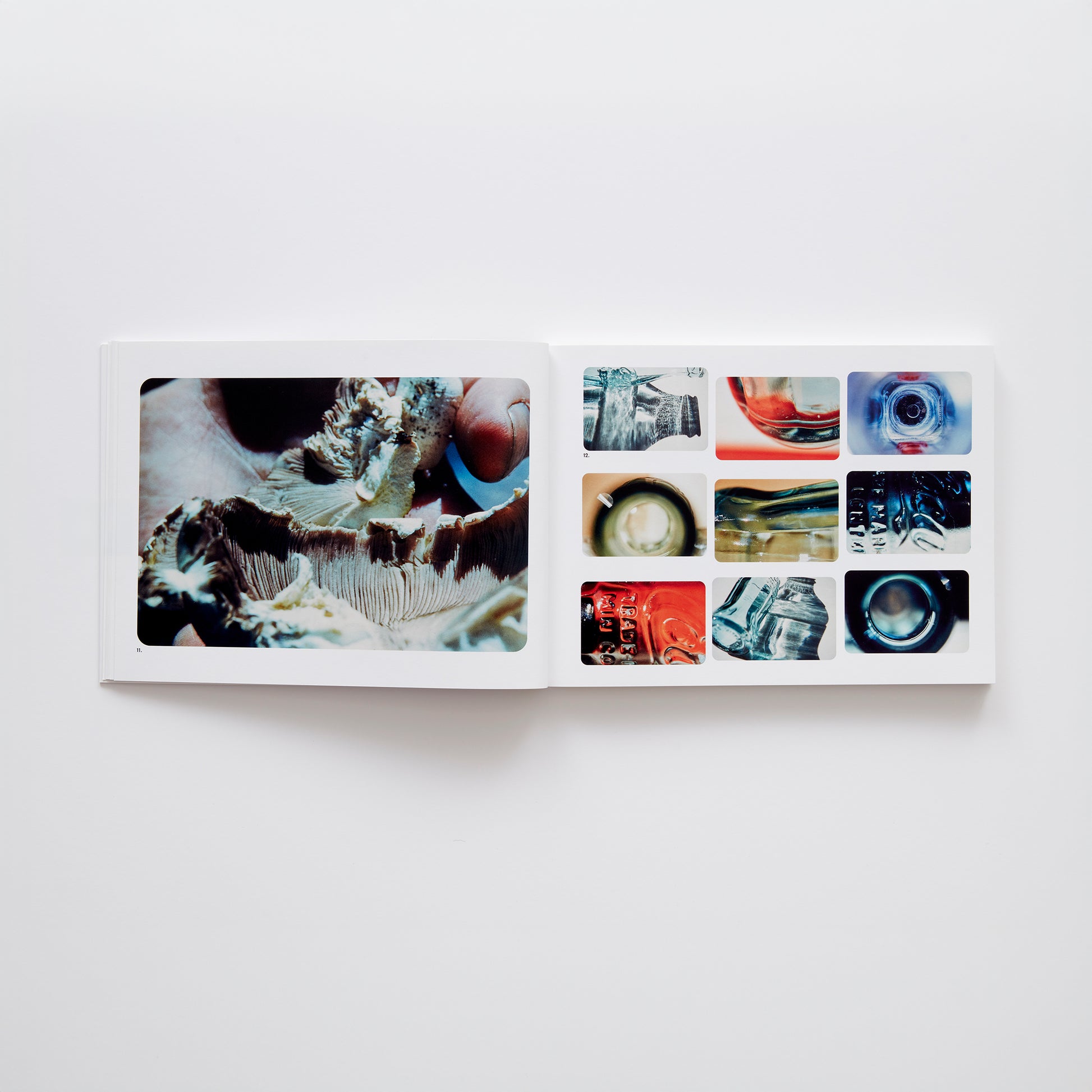 Ordinary Things Will Be Signs For Us: Photographs by Corita